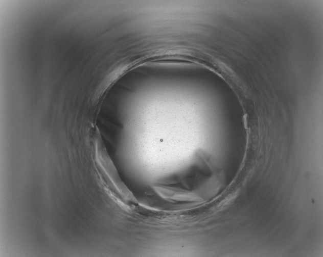 X0000062130985200512231433