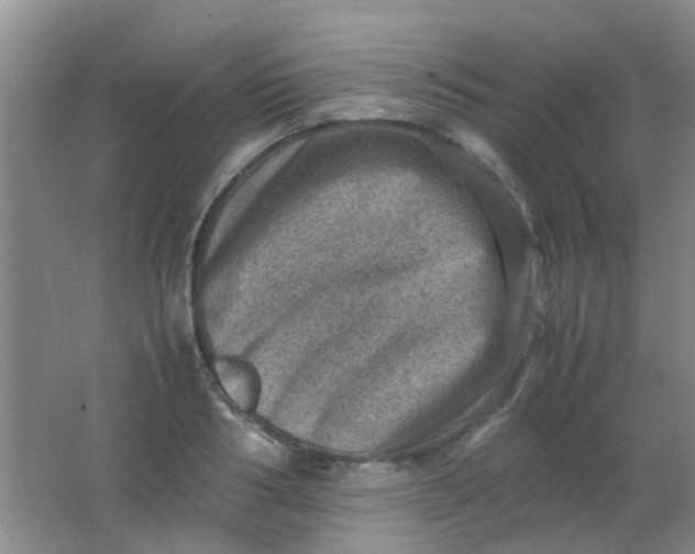 X0000062130986200512231433