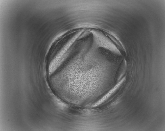 X0000062130987200512231433