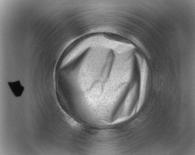 X0000062130988200512231433