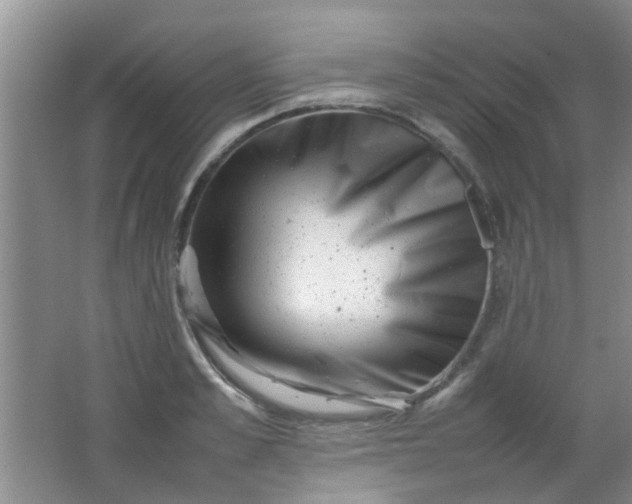 X0000062130989200512231433