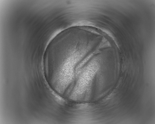 X0000062130990200512231433