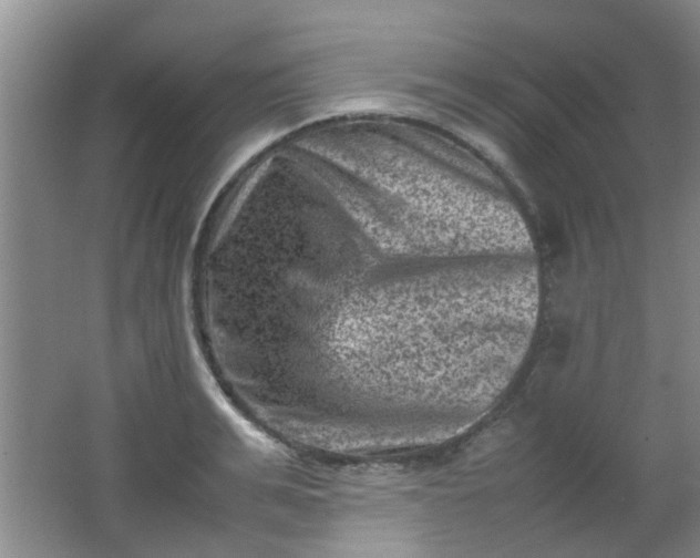 X0000062130991200512231433