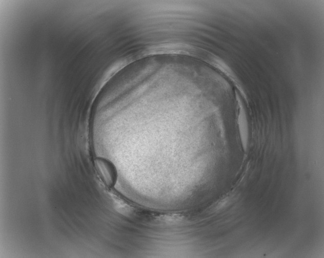 X0000062130994200512231433