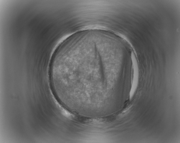 X0000062130995200512231433