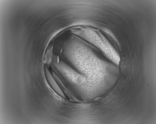 X0000062130996200512231433