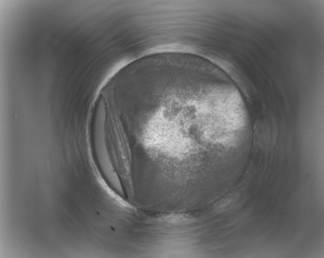 X0000062130998200512231433