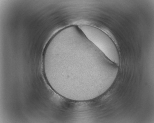 X0000062131000200512231433