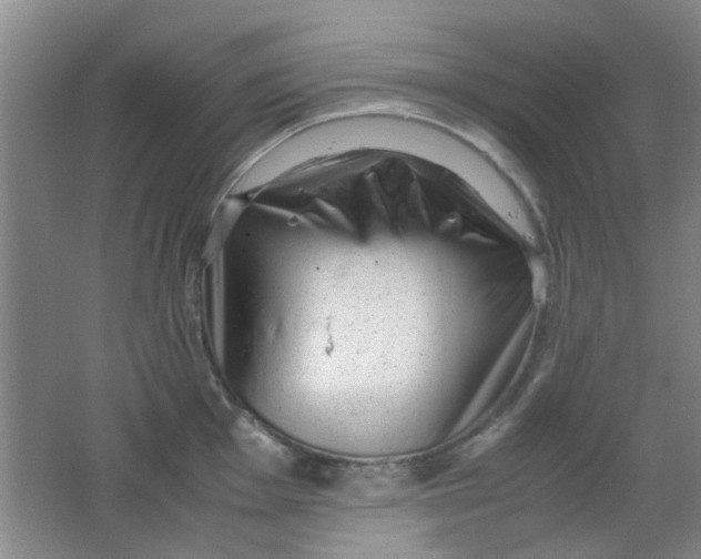 X0000062131001200512231433