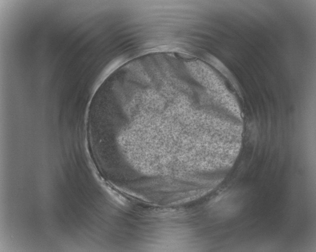 X0000062131002200512231433