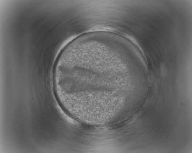 X0000062131003200512231433