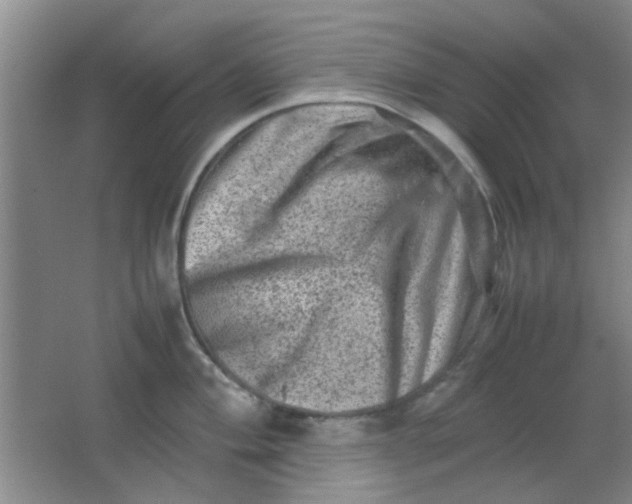 X0000062131004200512231433