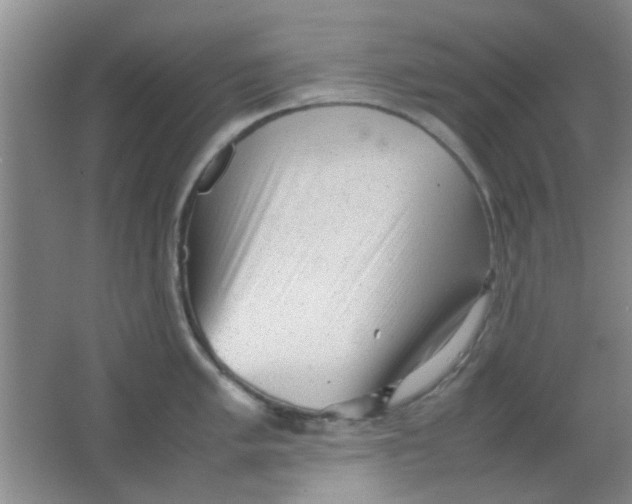 X0000062131005200512231433