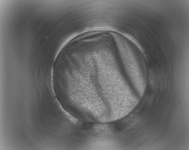 X0000062131006200512231433