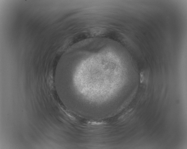 X0000062131011200512231432