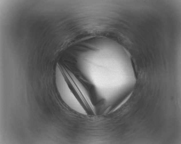 X0000062131012200512231432