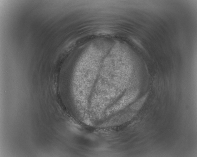 X0000062131015200512231432