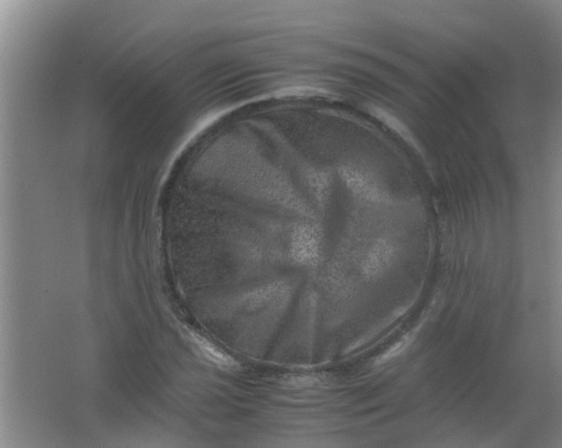 X0000062131021200512231432