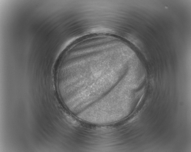 X0000062131022200512231432