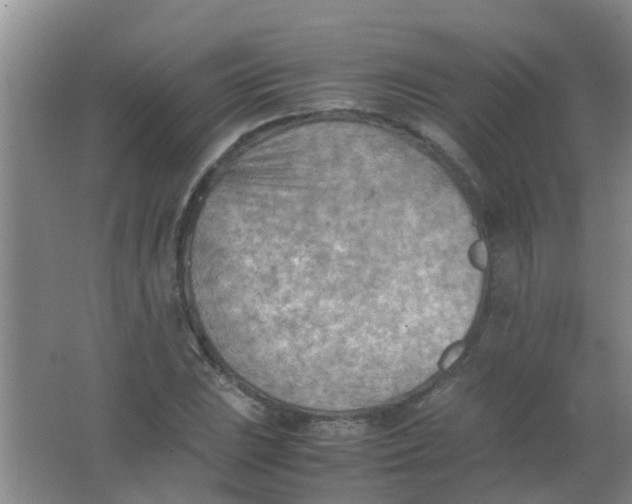 X0000062131023200512231432