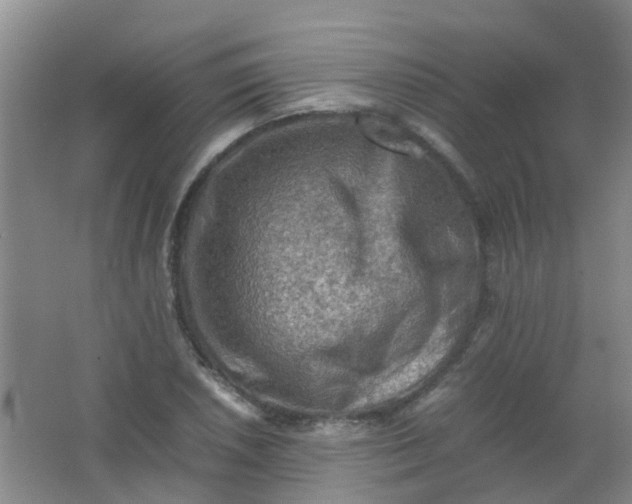 X0000062131026200512231432