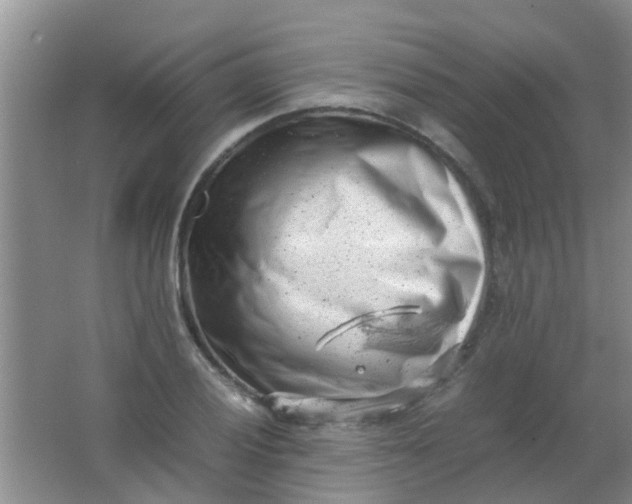 X0000062131028200512231432