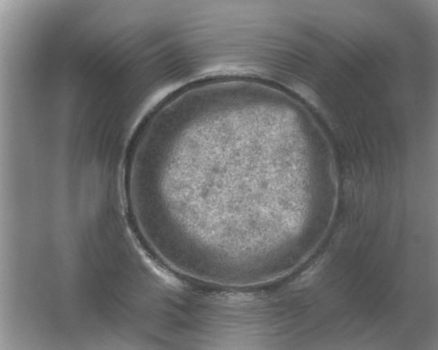 X0000062131030200512231432