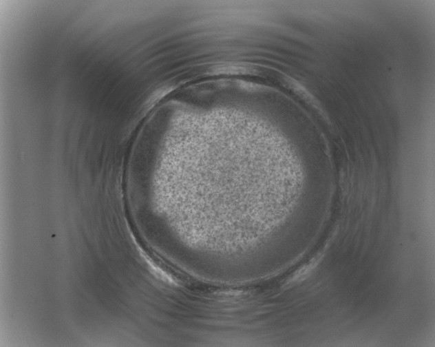 X0000062131033200512231432