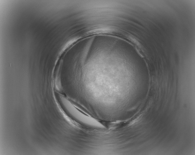 X0000062131034200512231432