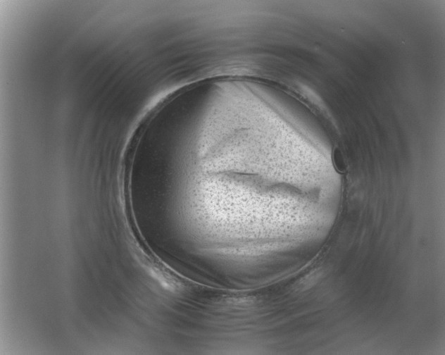 X0000062131035200512231432