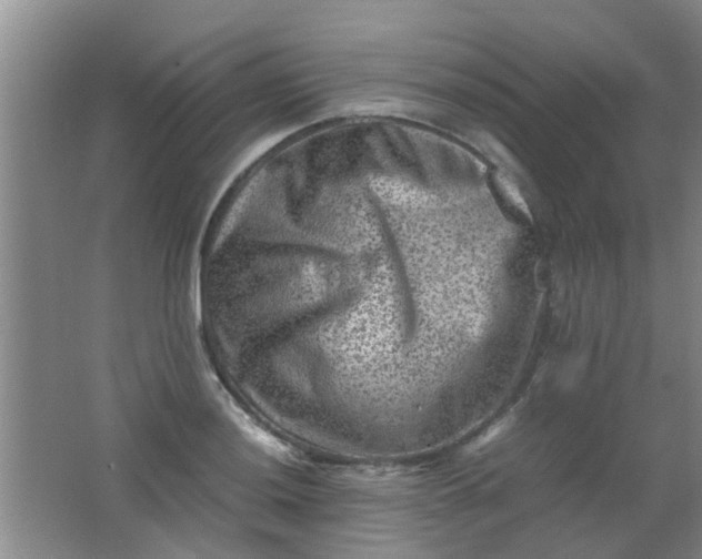 X0000062131036200512231432