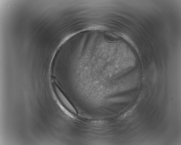 X0000062131037200512231432