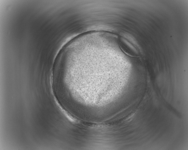 X0000062131040200512231432