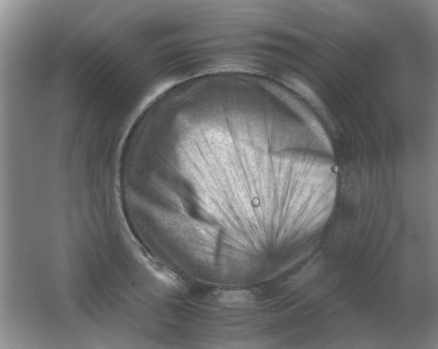 X0000062131043200512231432