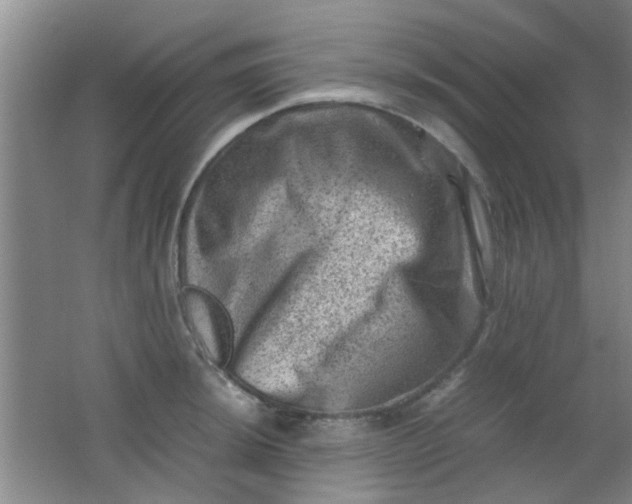 X0000062131044200512231432