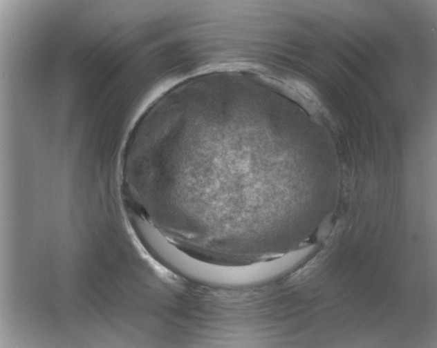 X0000062131046200512231432