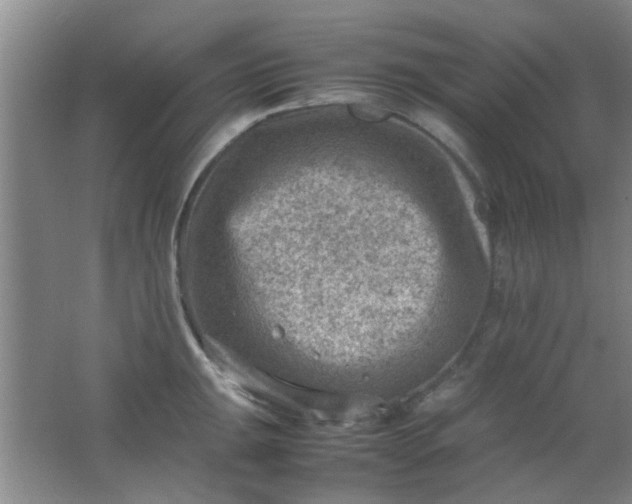 X0000062131047200512231432