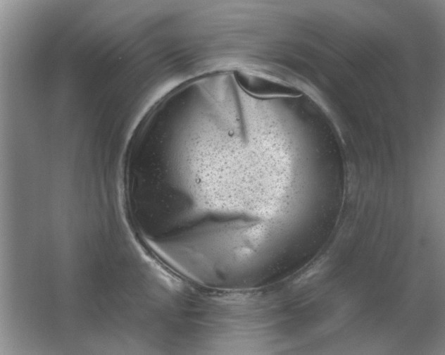 X0000062131048200512231432