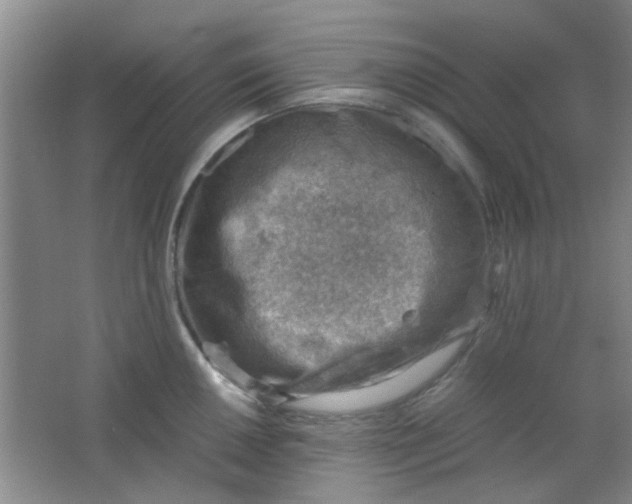 X0000062131050200512231433