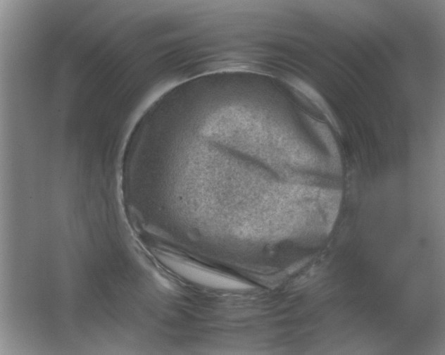 X0000062131051200512231433