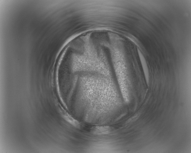 X0000062131052200512231433