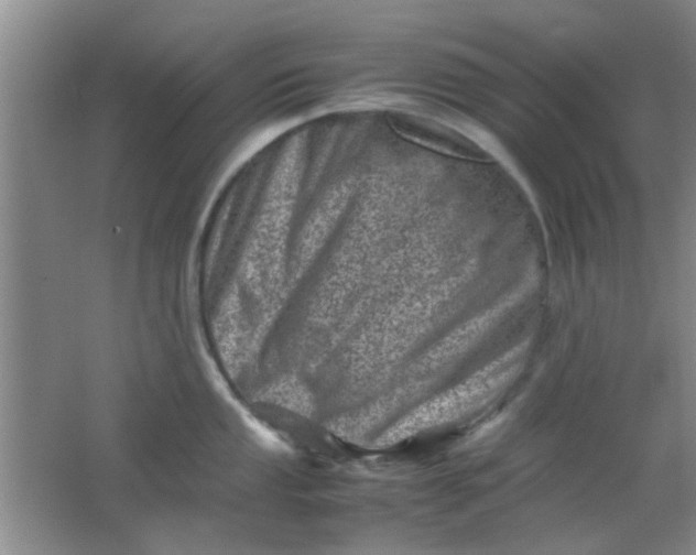 X0000062131053200512231433