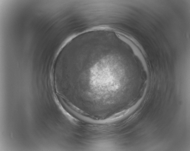 X0000062131054200512231433