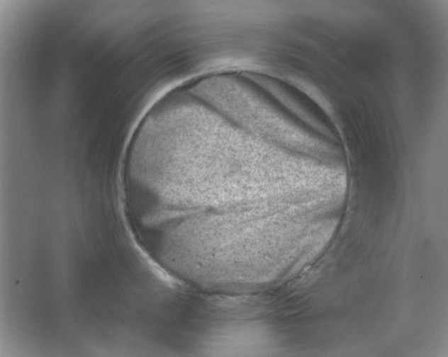 X0000062131056200512231433