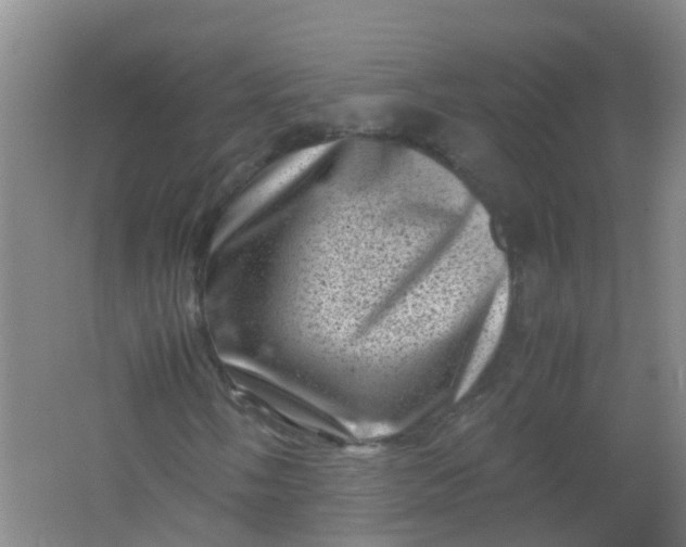 X0000062131058200512231432