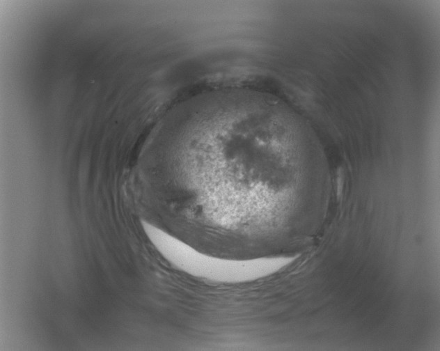 X0000062131059200512231432