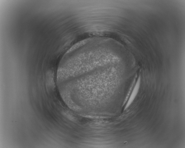 X0000062131060200512231432