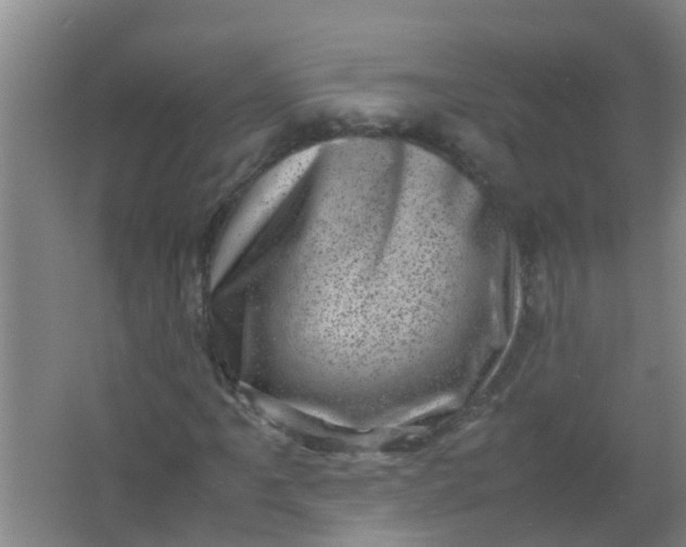 X0000062131061200512231432