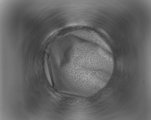 X0000062131064200512231432