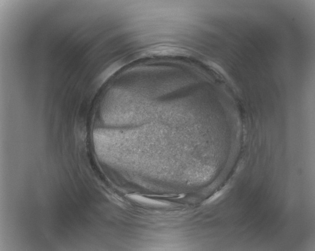 X0000062131065200512231432